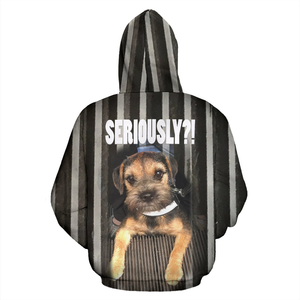 Silli Seriously? Hoodie - Top Content | POD Collection | Free Shipping