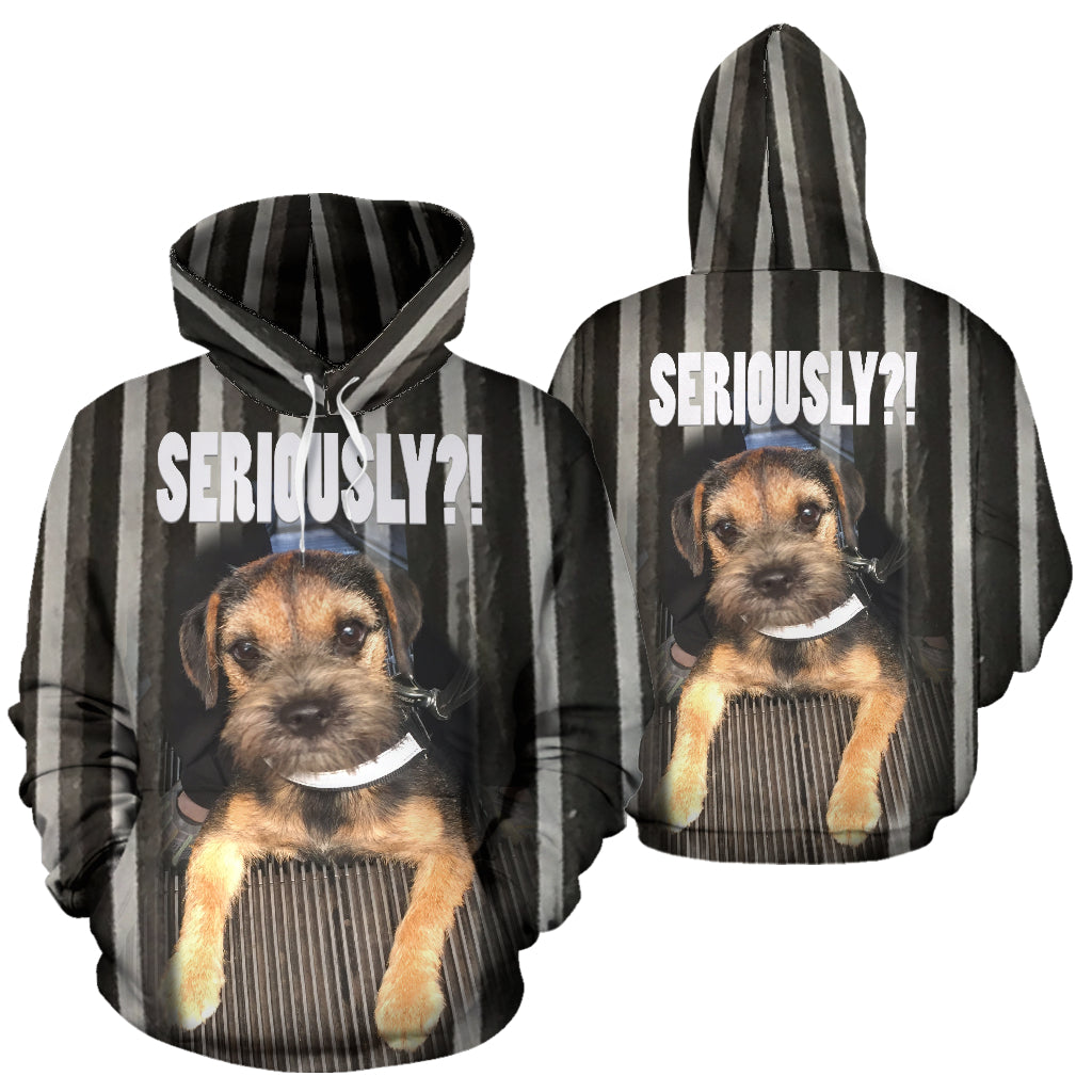 Silli Seriously? Hoodie - Top Content | POD Collection | Free Shipping